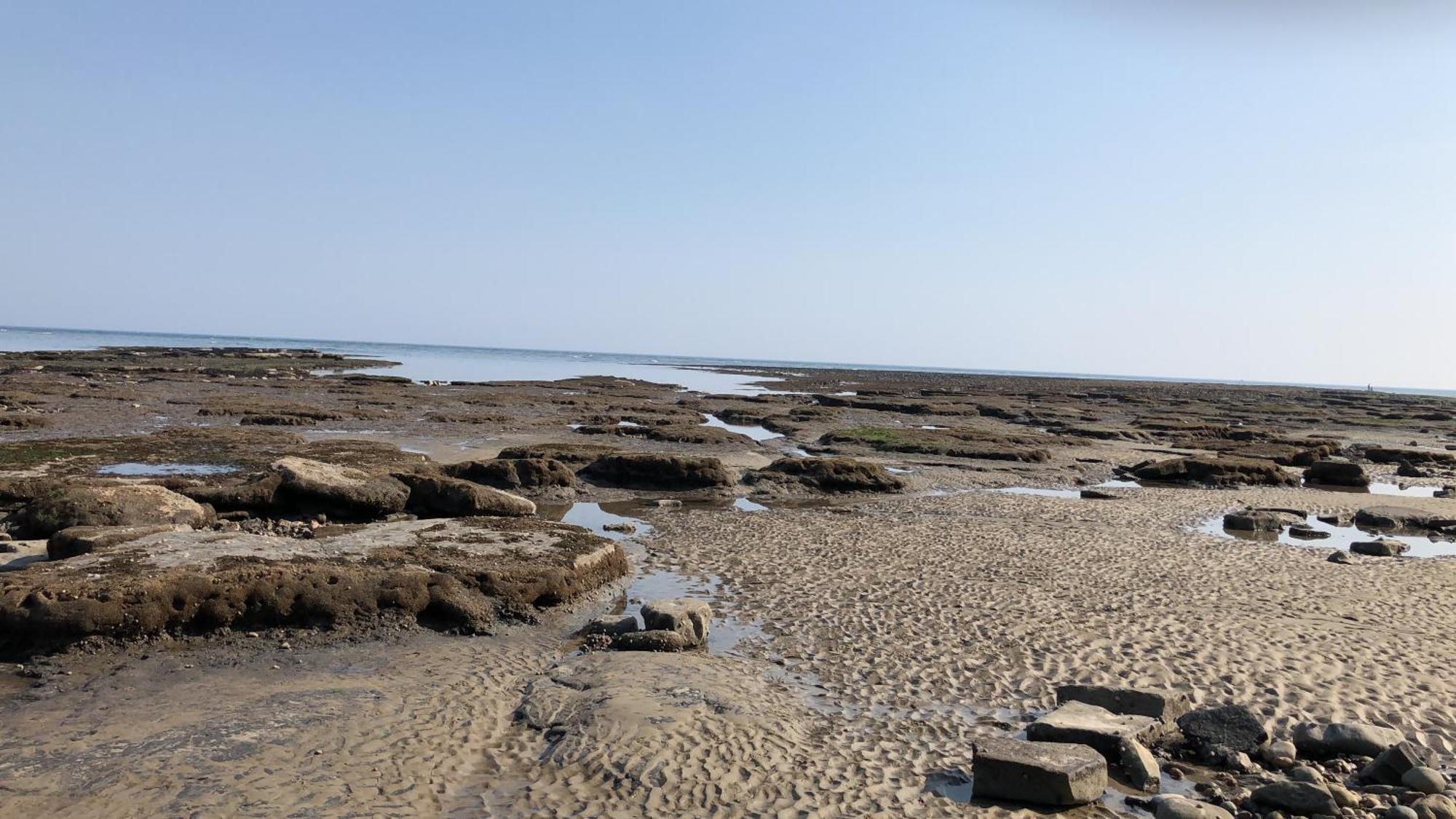 라임레지스 Billie'S Seaside Retreat 빌라 외부 사진
